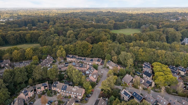 Foto 41 van Kievit 10