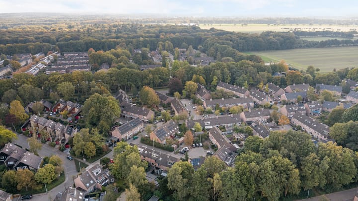 Foto 43 van Kievit 10