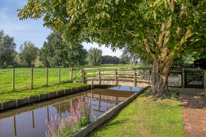 Photo 8 of Zuideindseweg 114