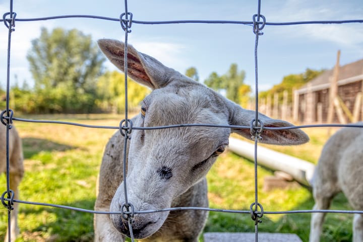 Photo 15 of Zuideindseweg 114