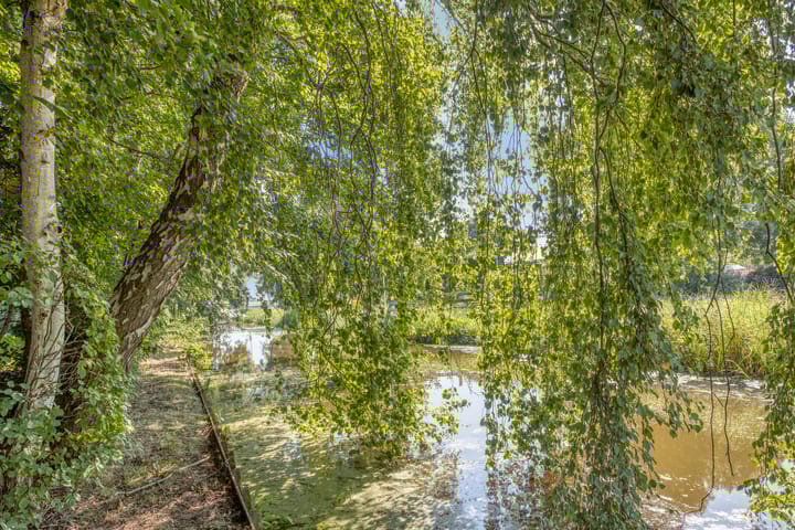 Photo 48 of Zuideindseweg 114