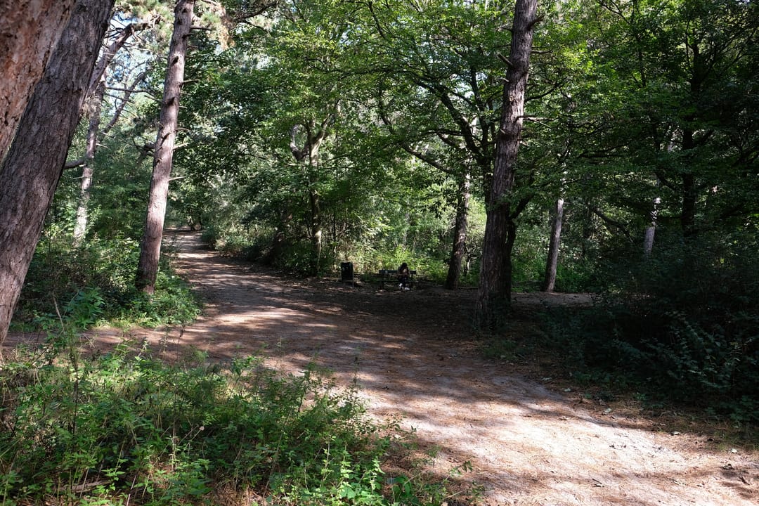 Foto 32 van Duivelandsestraat 93