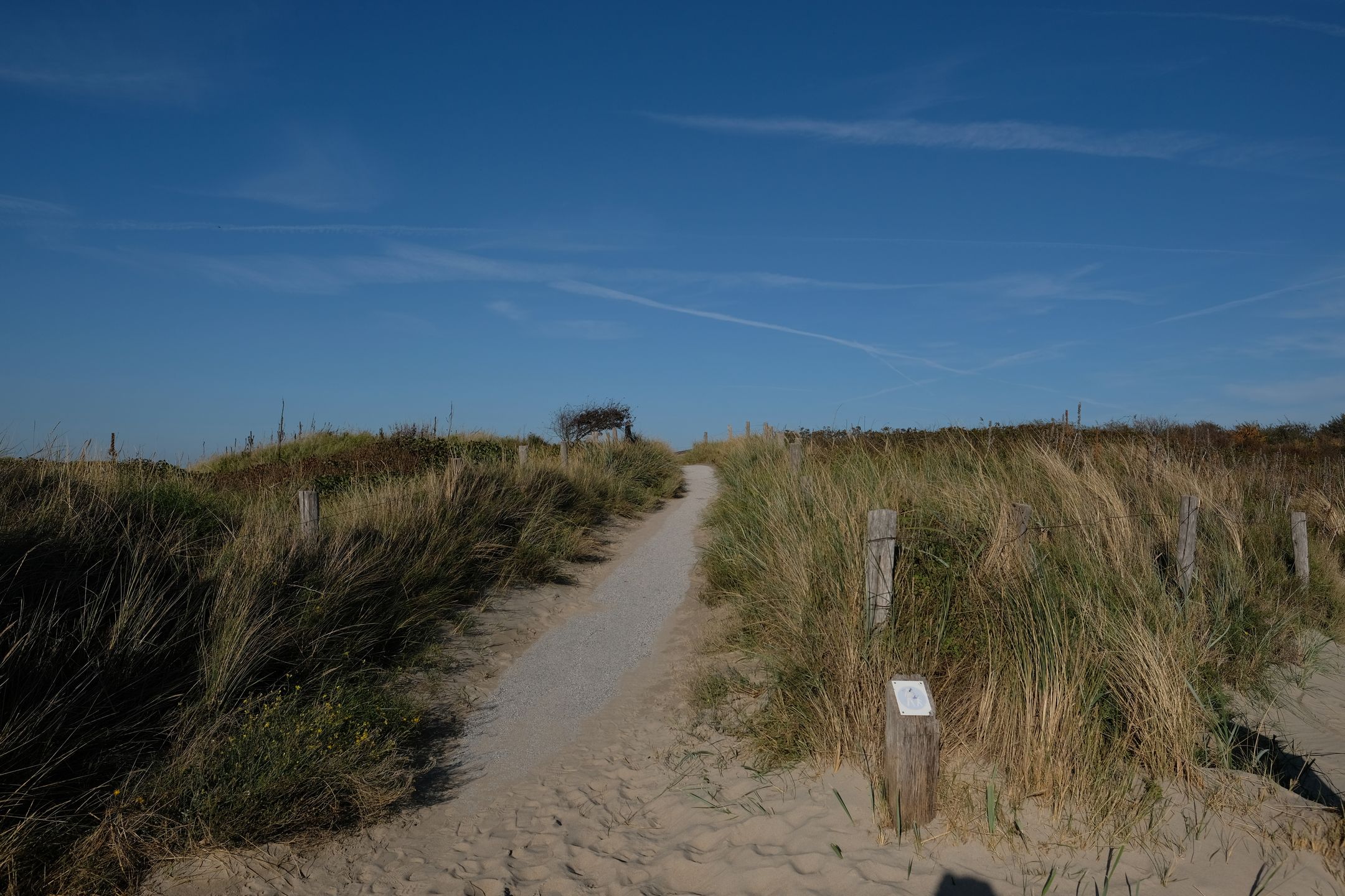 Foto 36 van Duivelandsestraat 93