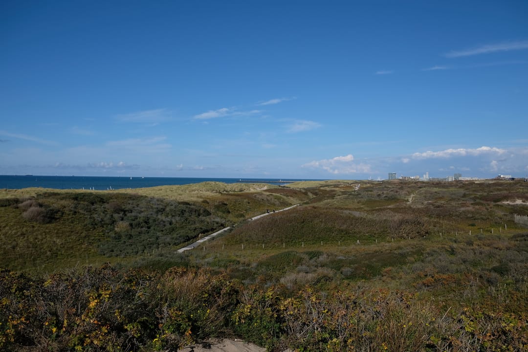 Foto 37 van Duivelandsestraat 93