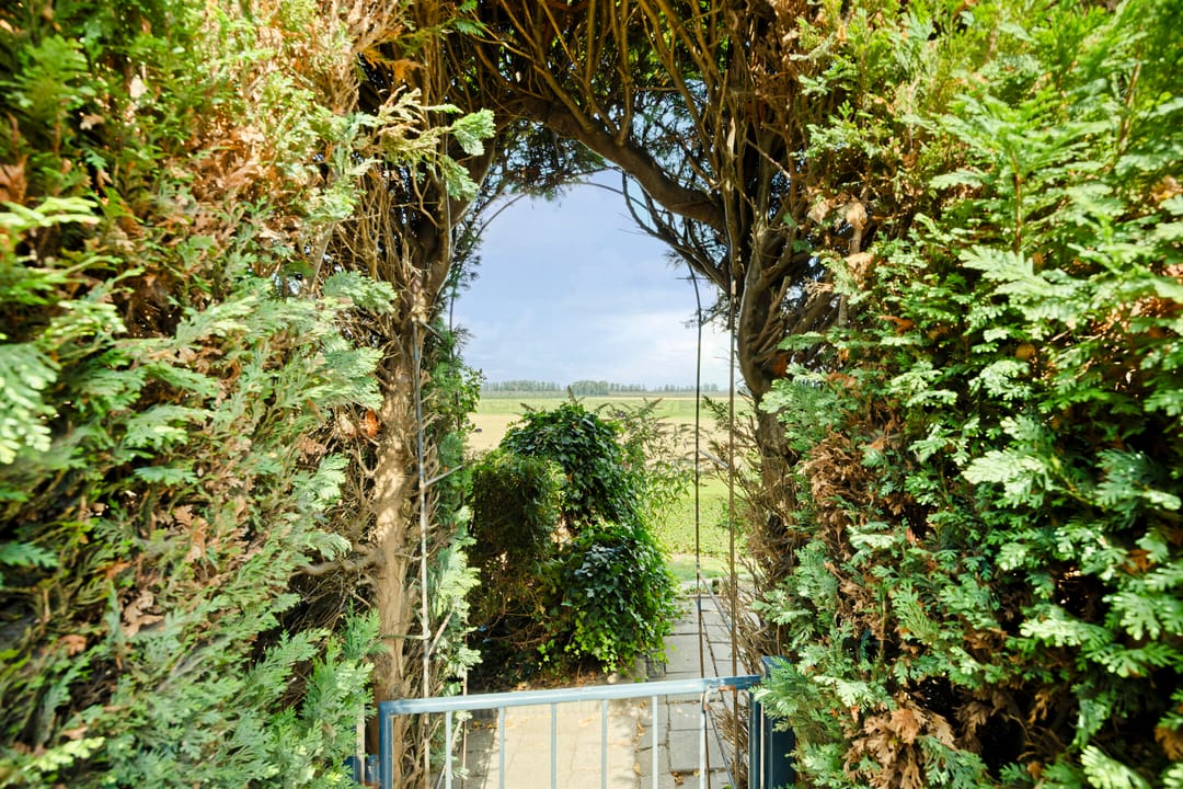 Foto 53 van Kerkstraat 40