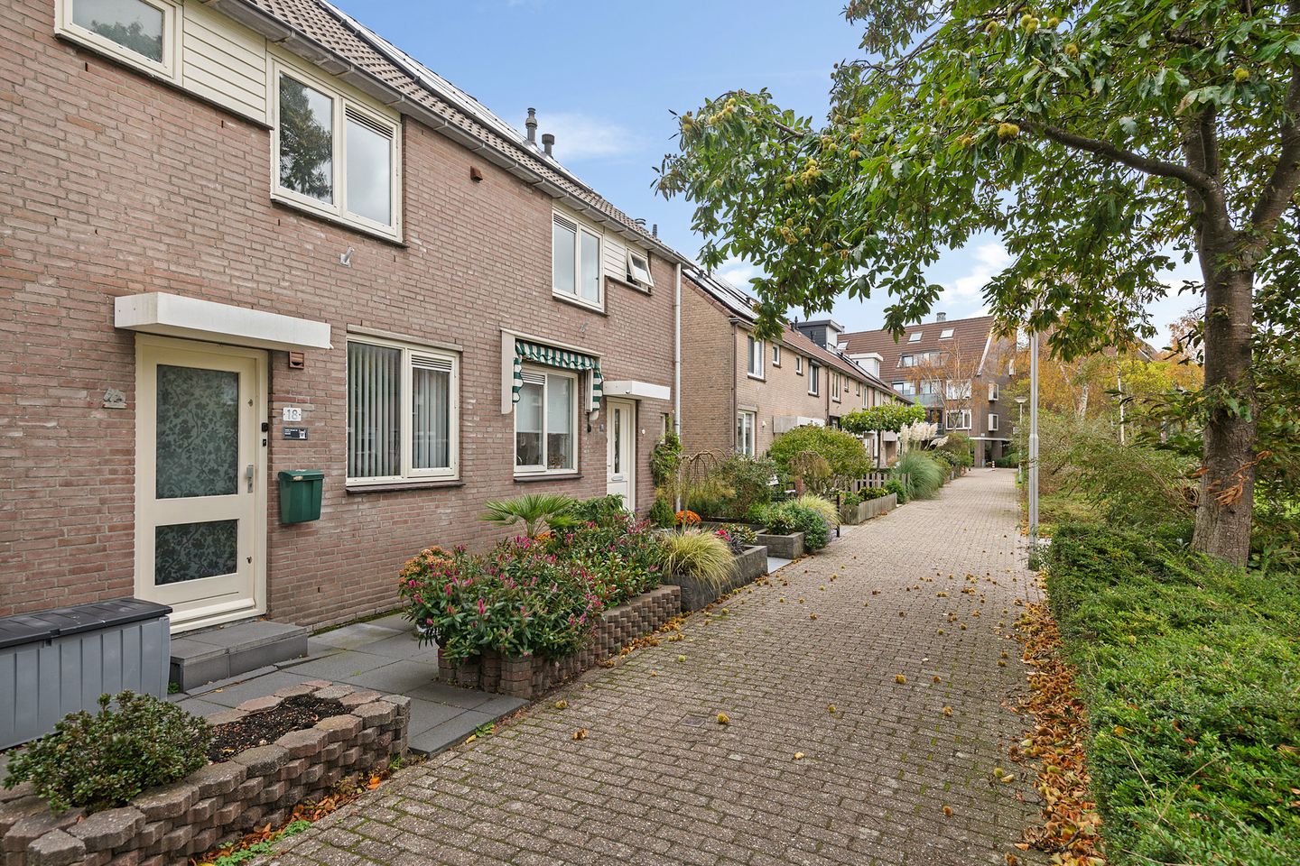 Foto 4 van Stijn Streuvelsplantsoen 18