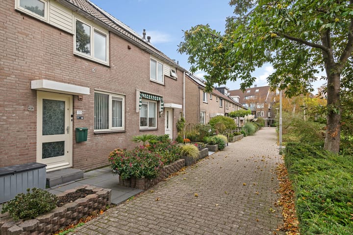 Foto 4 van Stijn Streuvelsplantsoen 18