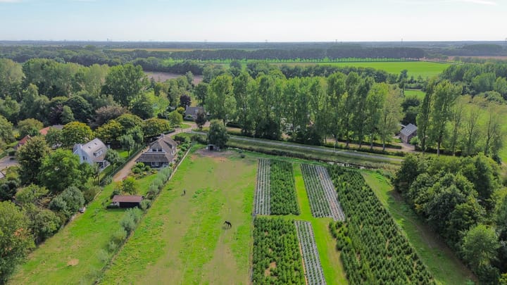 Foto 77 van Benedenkerkstraat 81