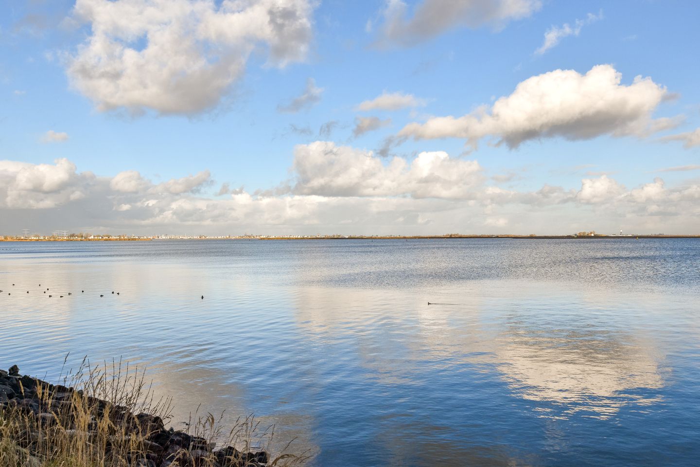 Foto 25 van IJburglaan 1357