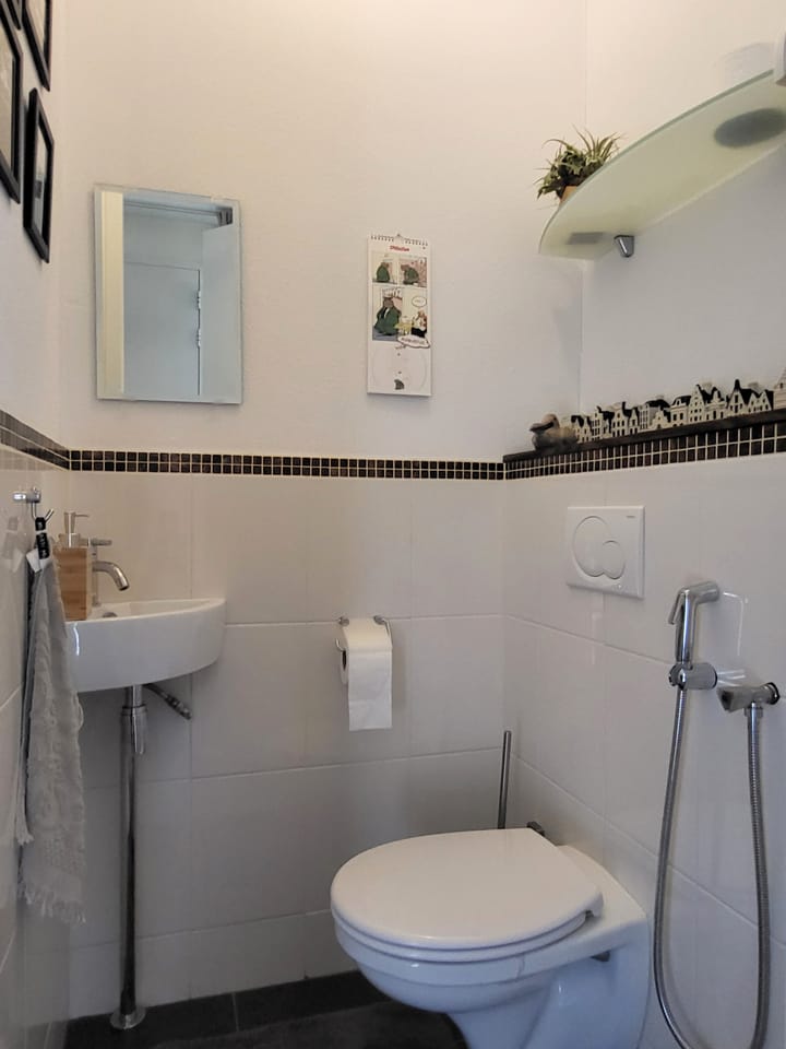 Foto 31 van Zandoogjestraat 10