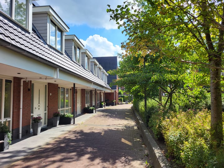 Foto 32 van Zandoogjestraat 10