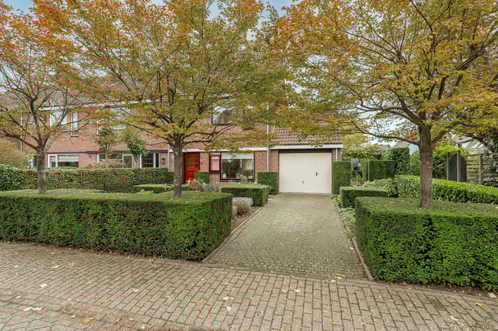 Foto 5 van Stroband 2