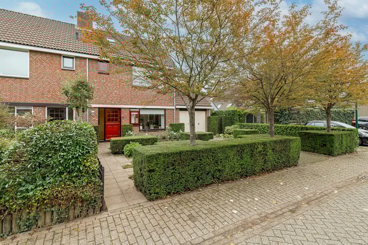 Foto 35 van Stroband 2