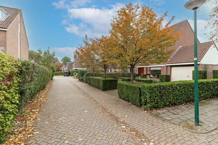 Foto 36 van Stroband 2