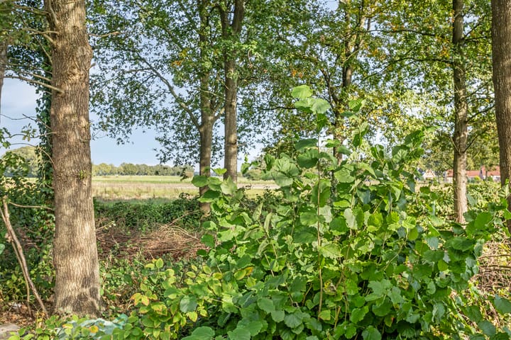 Foto 50 van De Kubbing 6