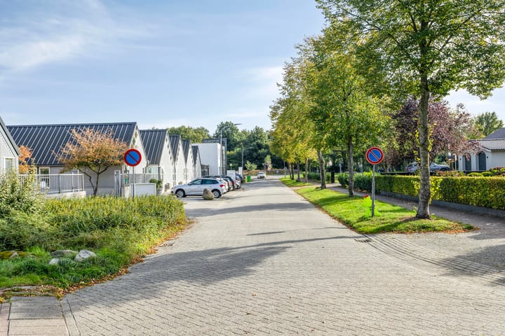 Foto 48 van De Kubbing 6