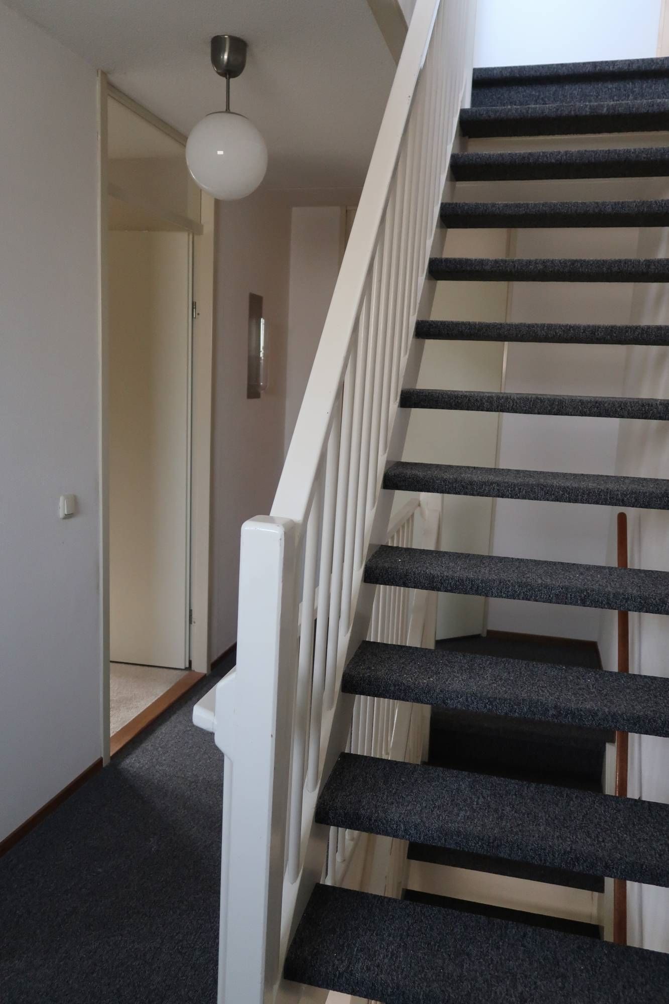 Foto 9 van Frans Coenenhove 9