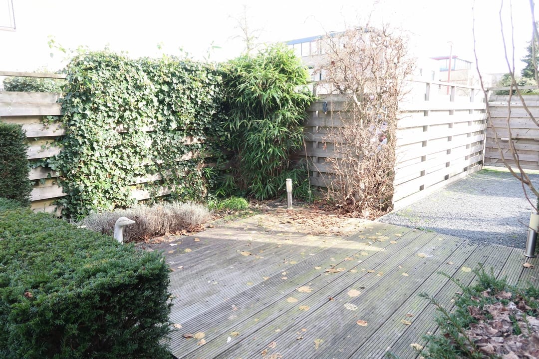 Foto 22 van Frans Coenenhove 9