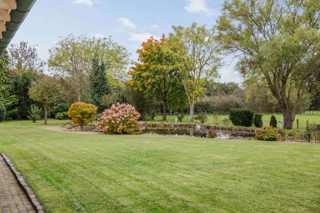 Rijksstraatweg 175 tertiary image