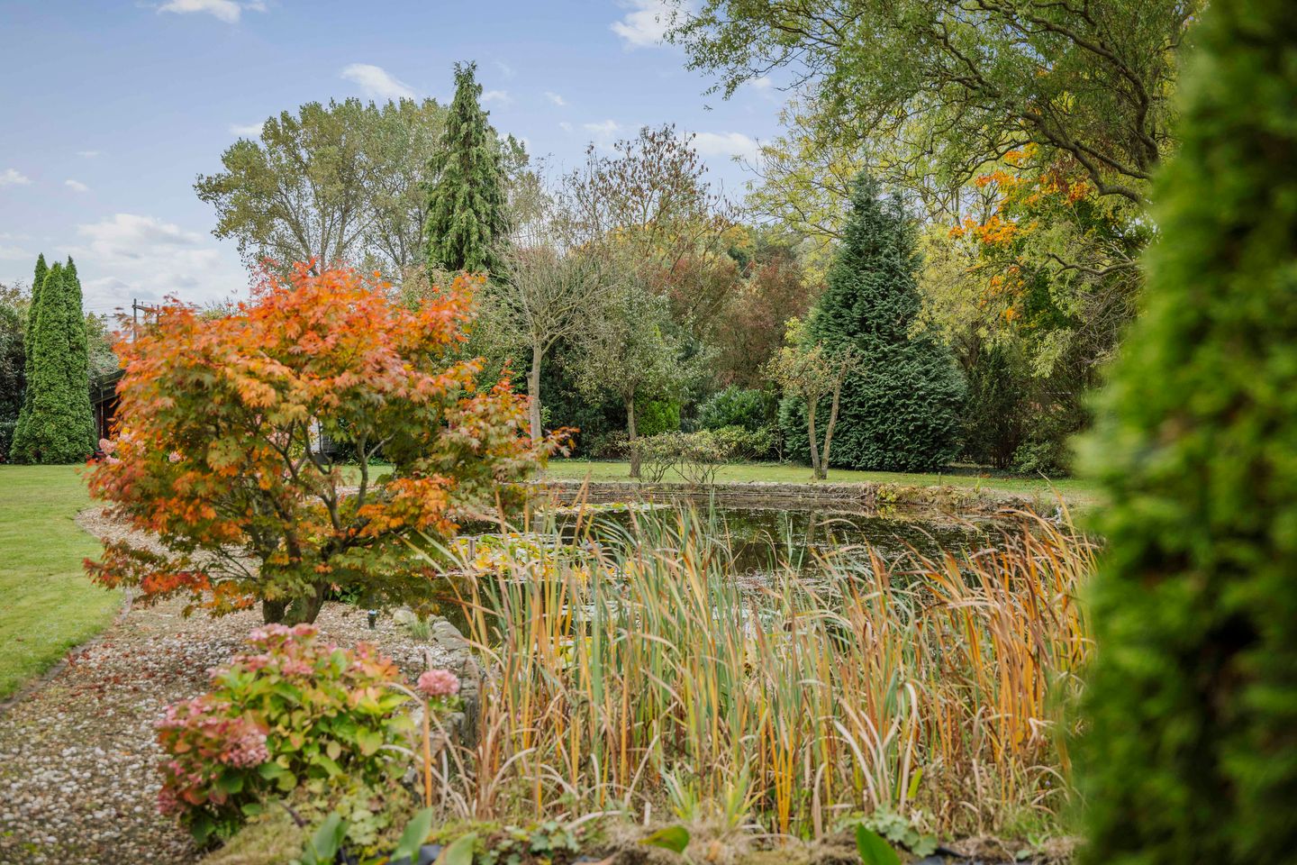 Foto 49 van Rijksstraatweg 175