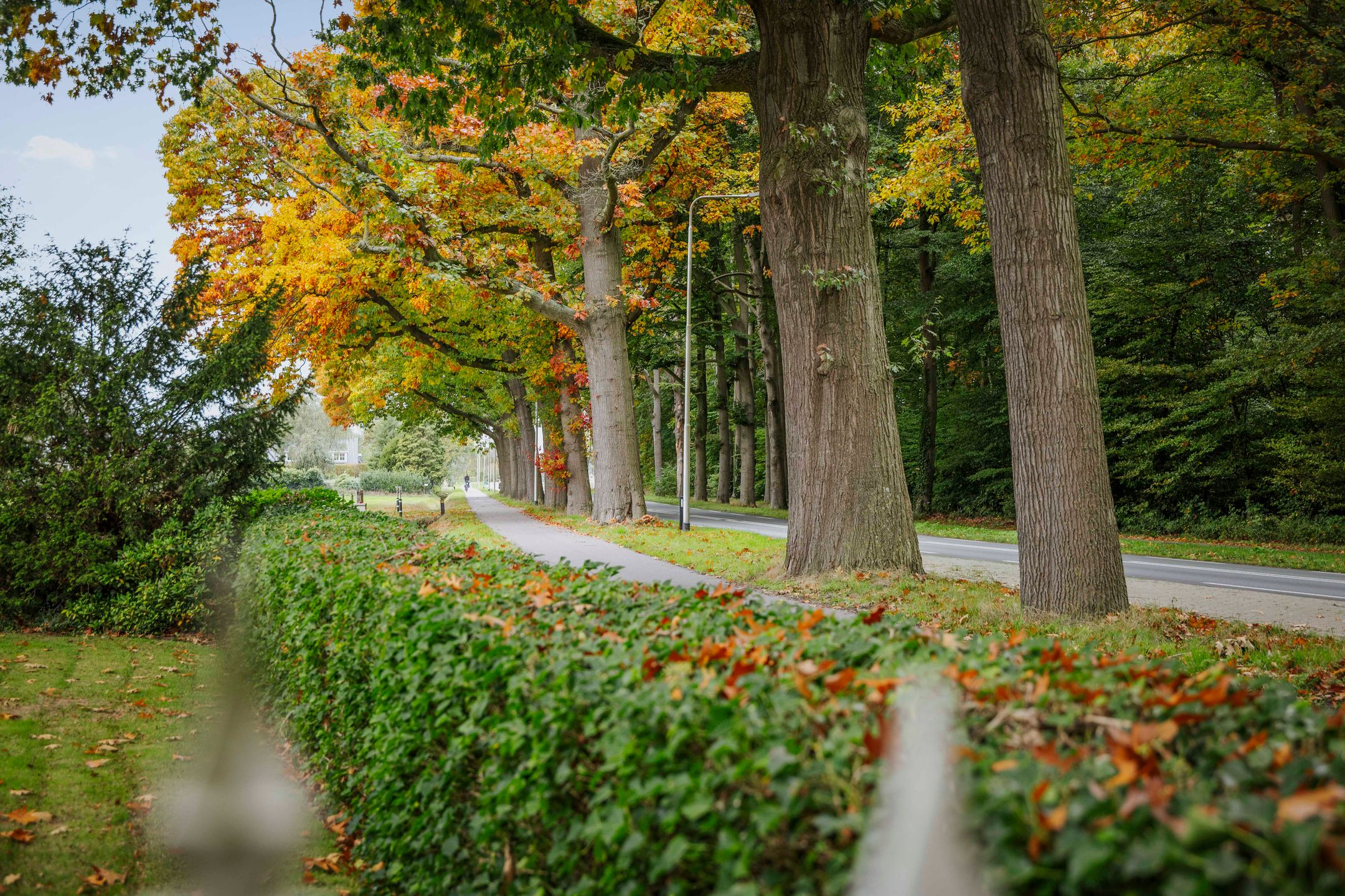 Foto 72 van Rijksstraatweg 175