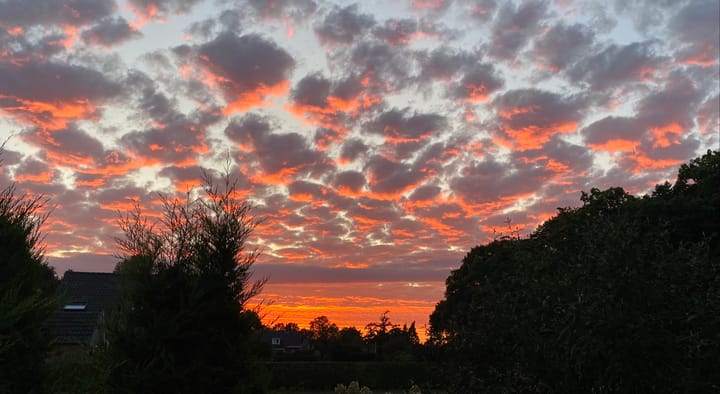 Foto 84 van Rijksstraatweg 175