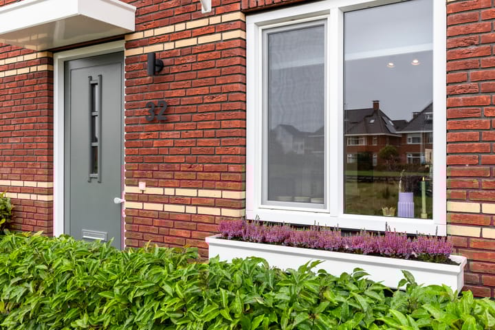 Foto 5 van Kastanjeboleet 32