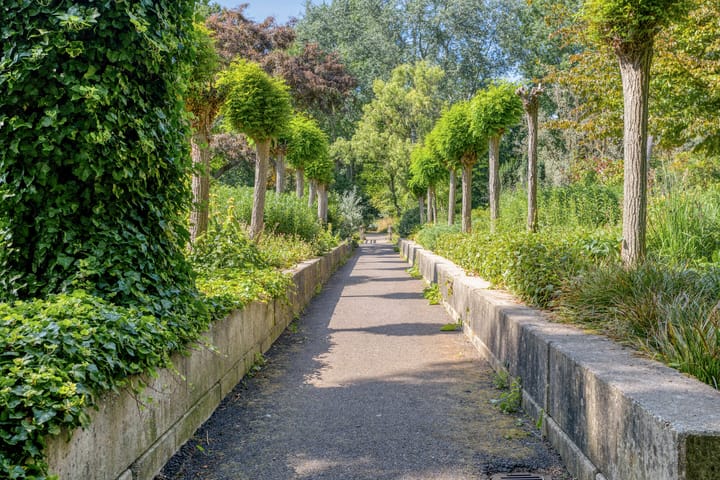 Foto 48 van Louise de Colignylaan 6