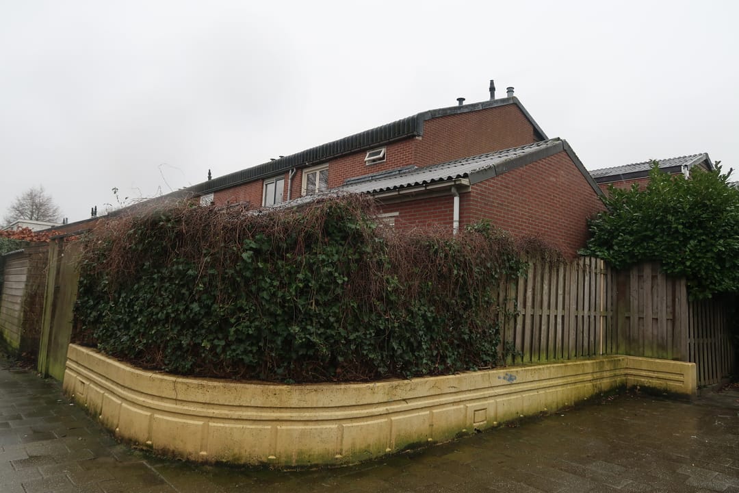 Foto 2 van Zebraspoor 196