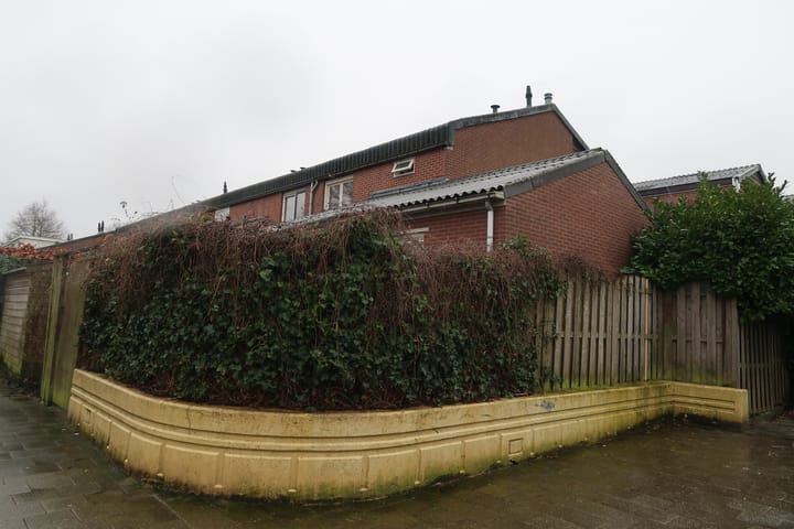 Foto 2 van Zebraspoor 196