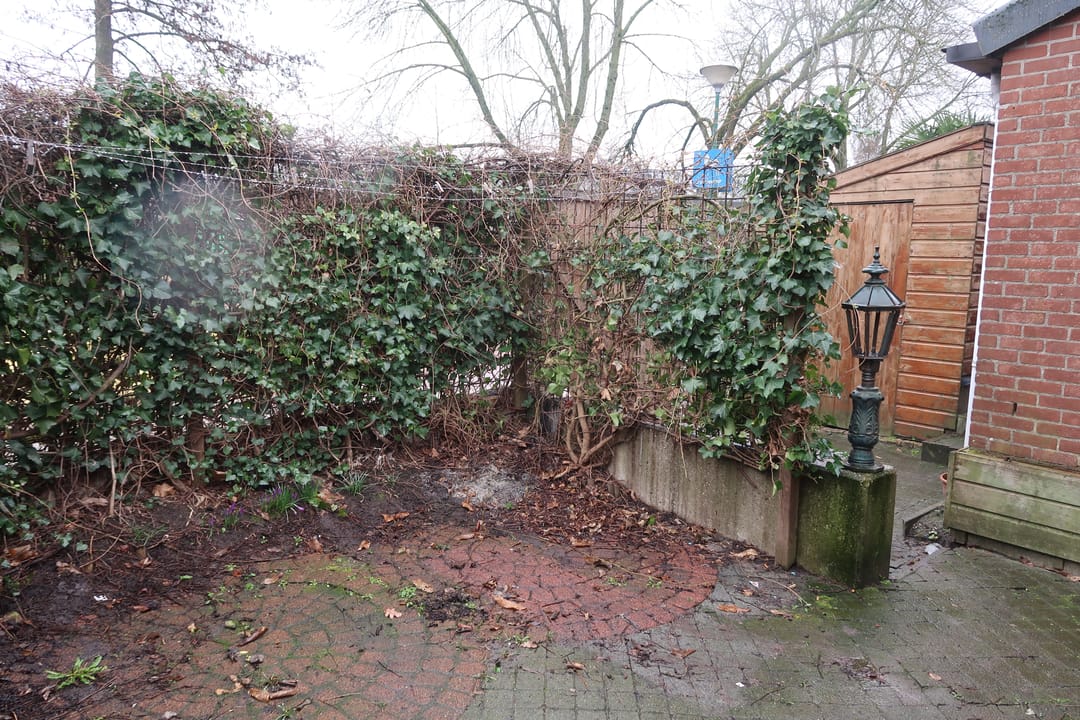 Foto 22 van Zebraspoor 196