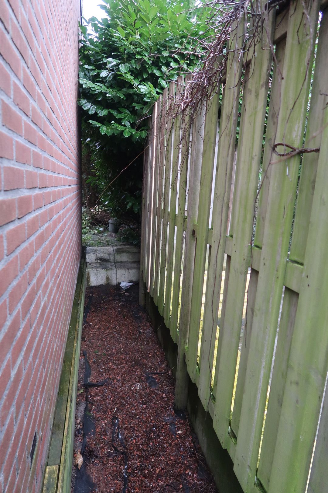 Foto 23 van Zebraspoor 196