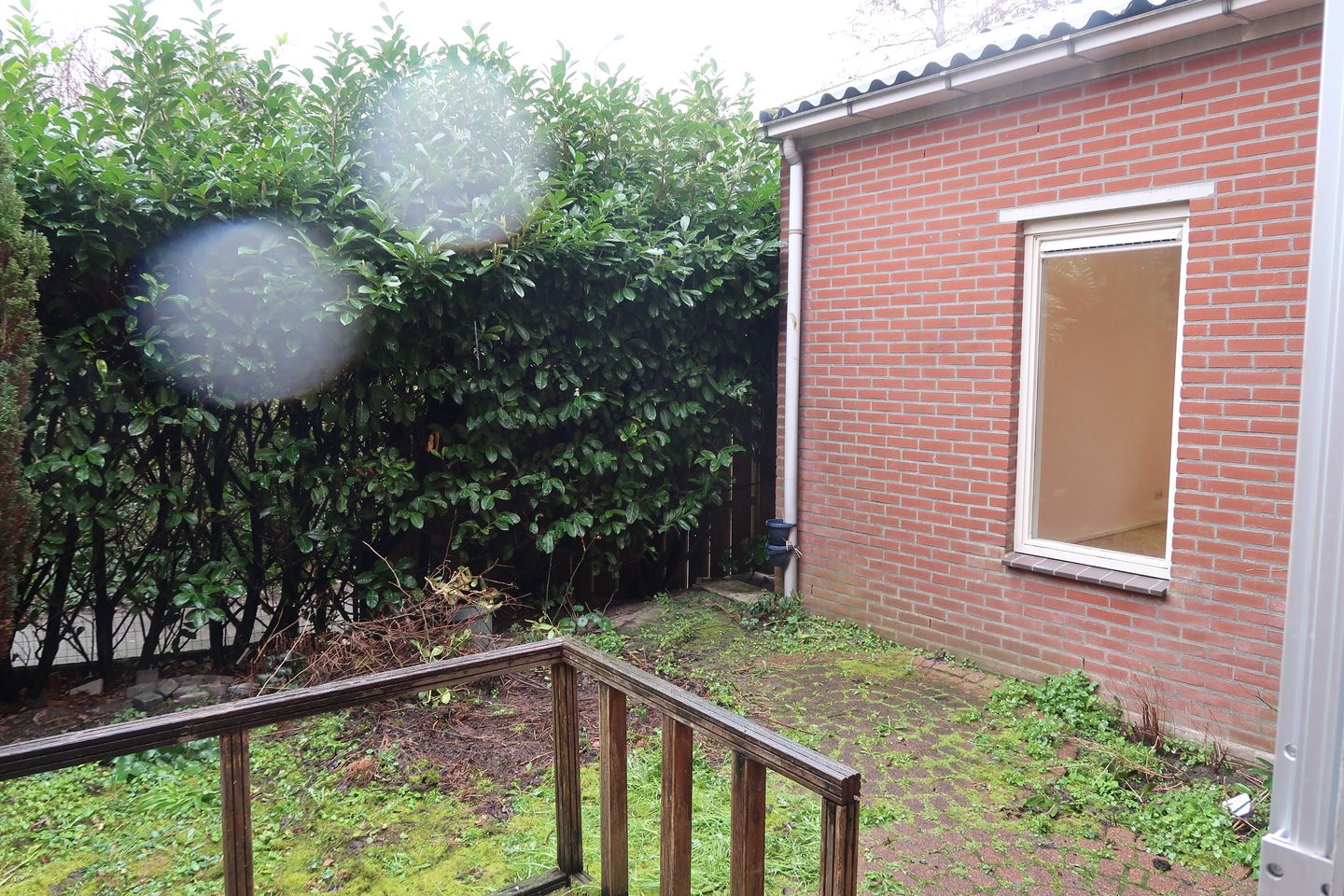 Foto 25 van Zebraspoor 196