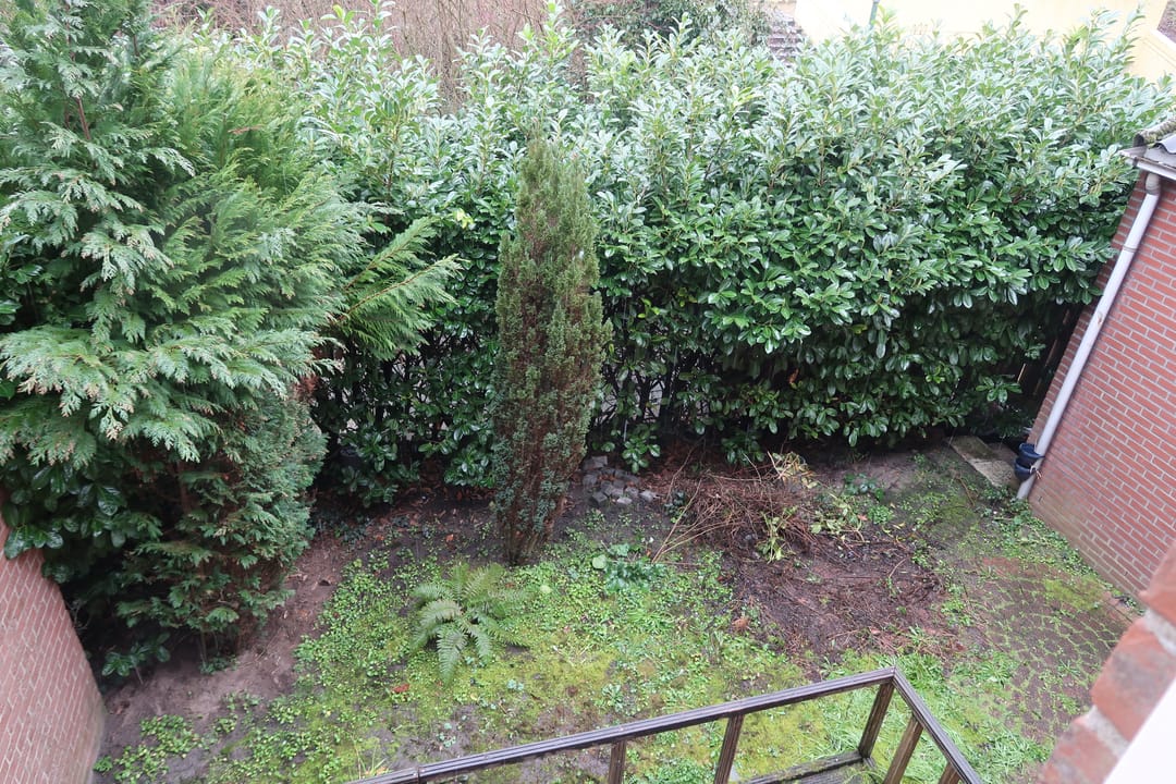 Foto 32 van Zebraspoor 196