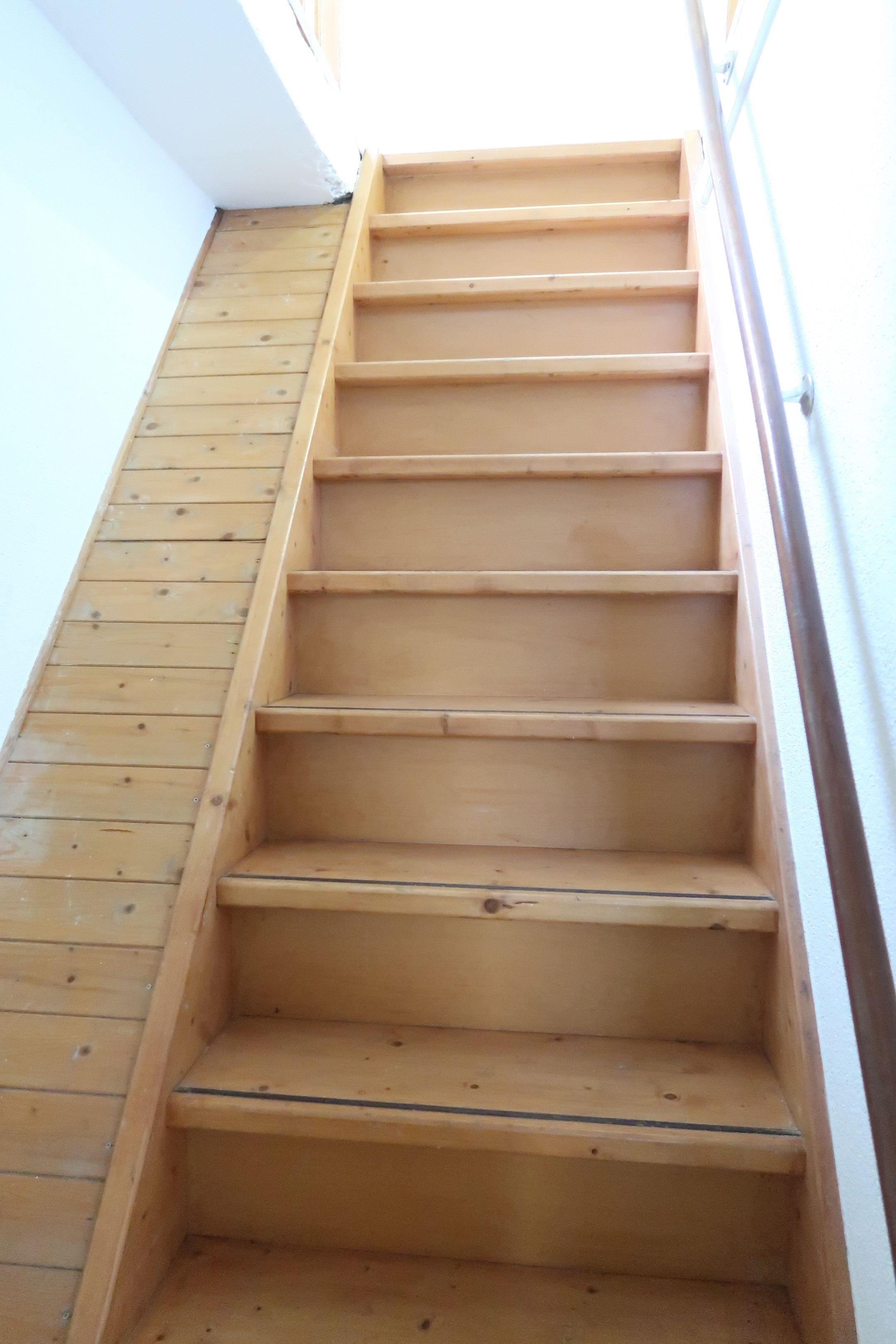 Foto 45 van Zebraspoor 196