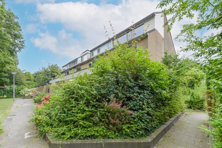 Foto 28 van Uitterlier 25