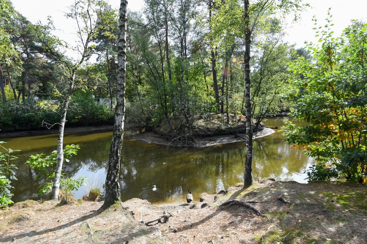 Photo 27 of Vennenbos 822