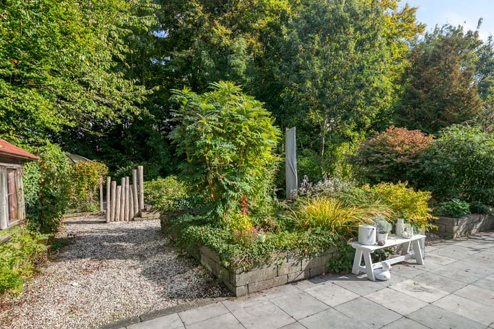 Foto 41 van Beukenlaan 25