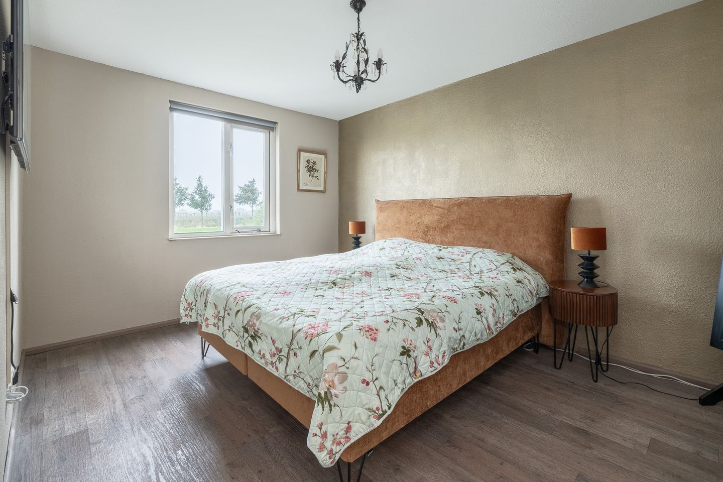 Photo 19 of Witmos 14