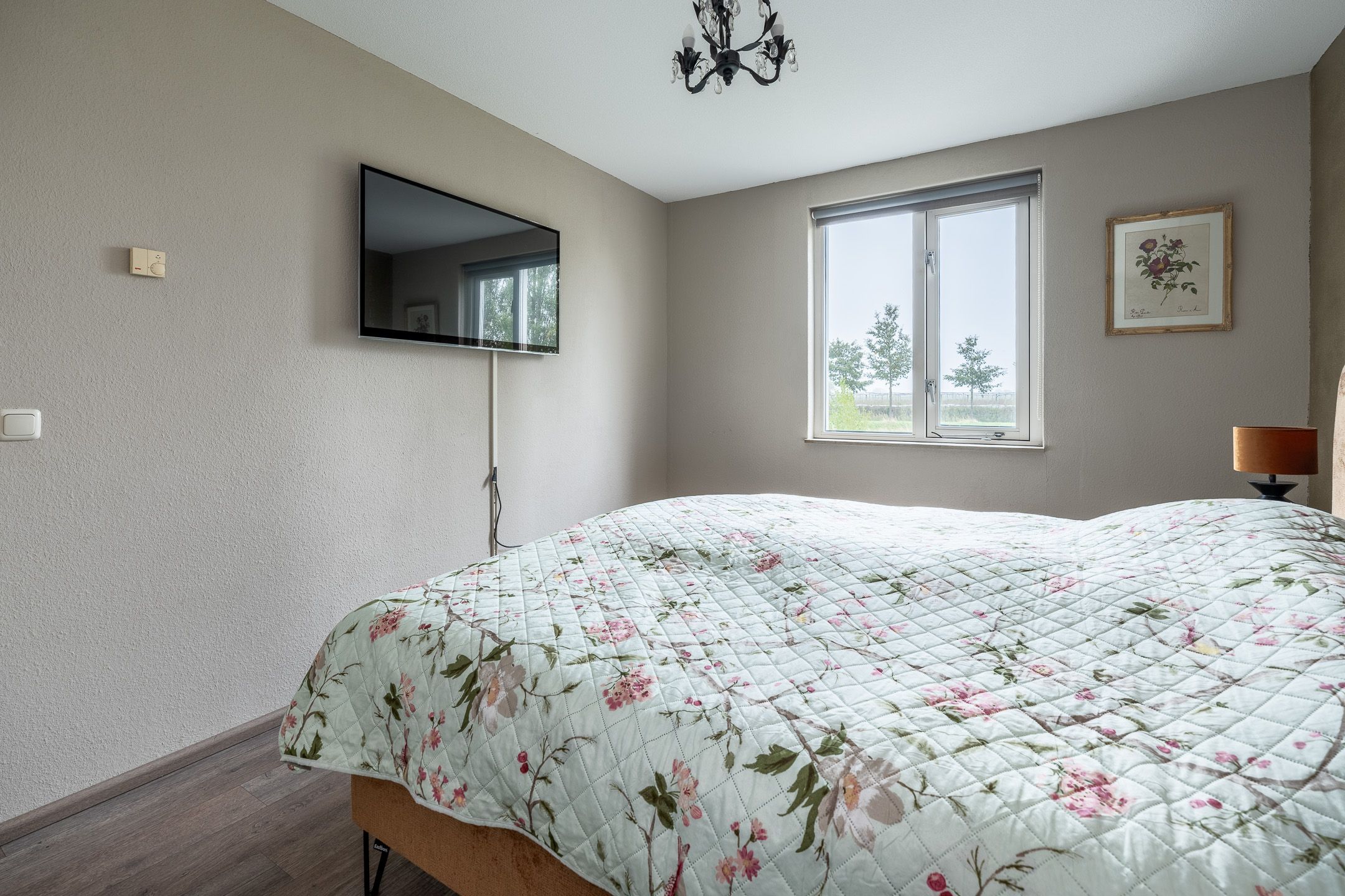 Photo 21 of Witmos 14