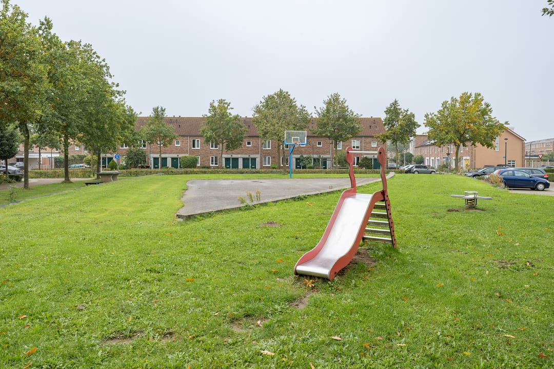 Photo 43 of Witmos 14