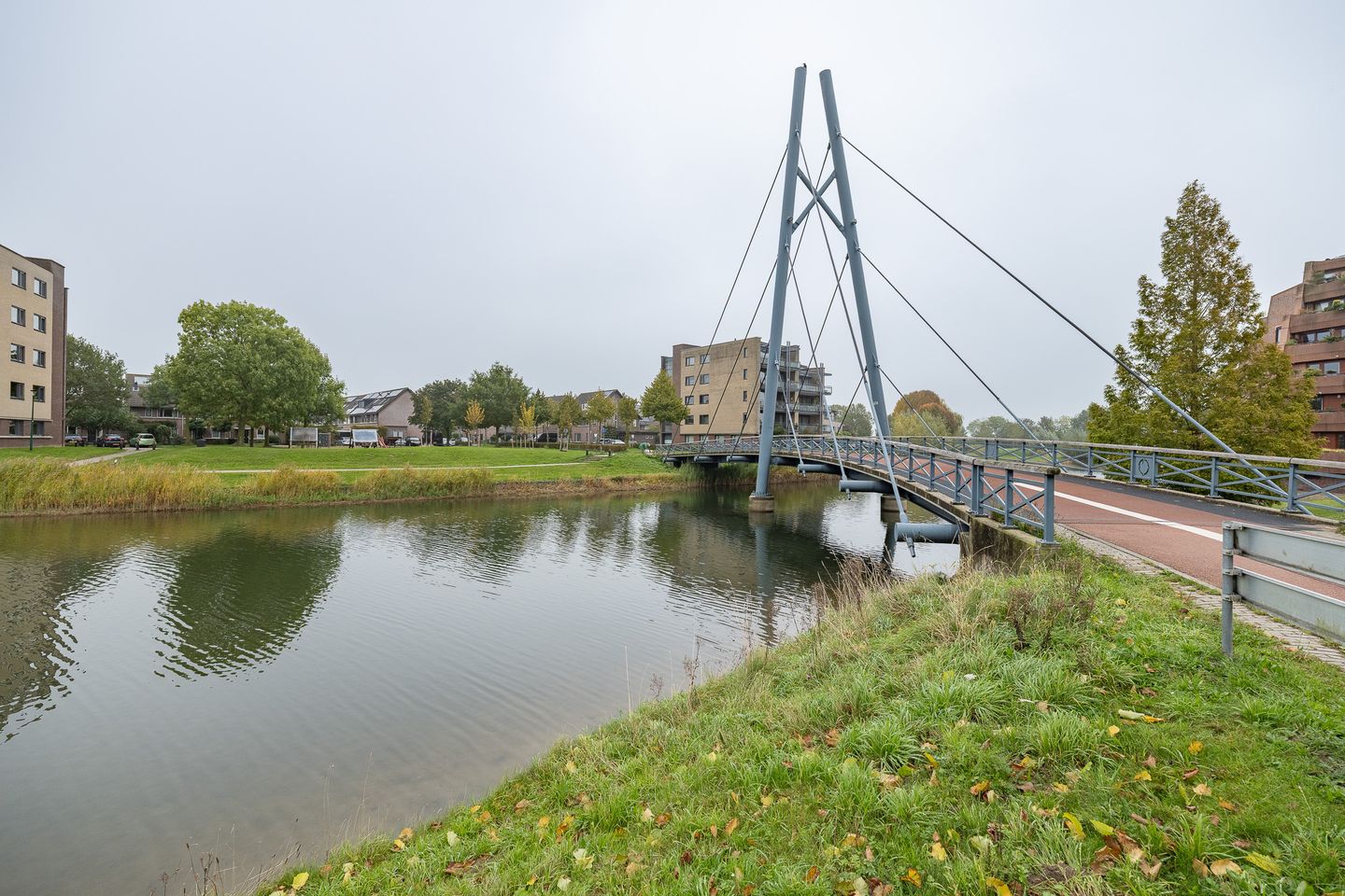 Photo 44 of Witmos 14