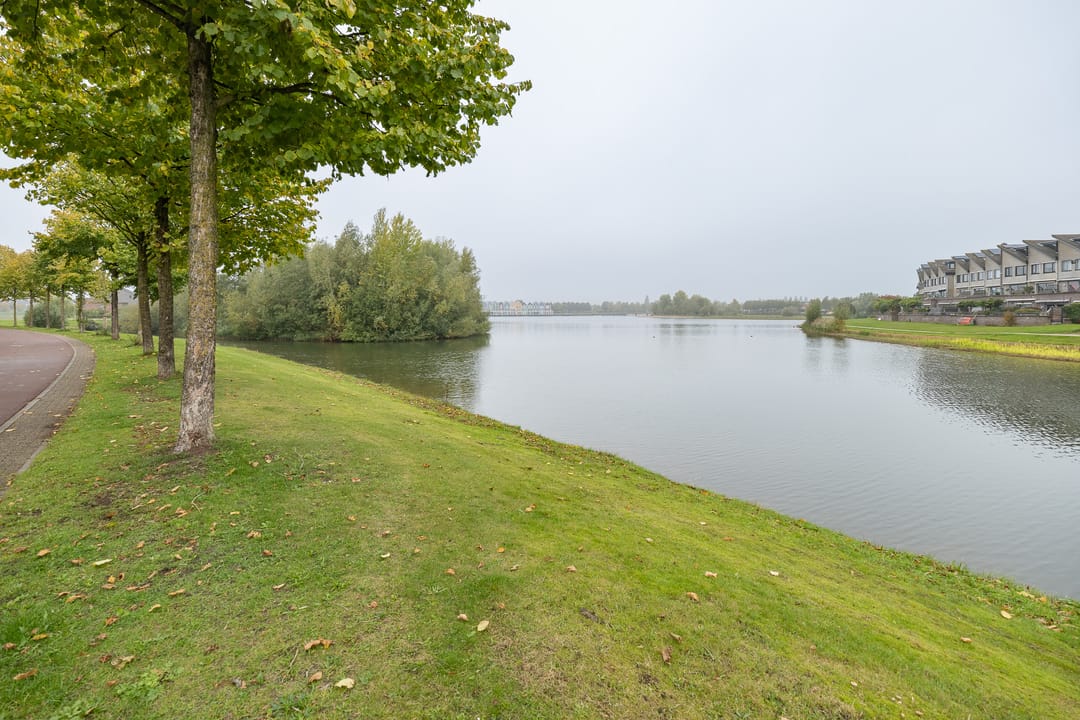 Photo 46 of Witmos 14