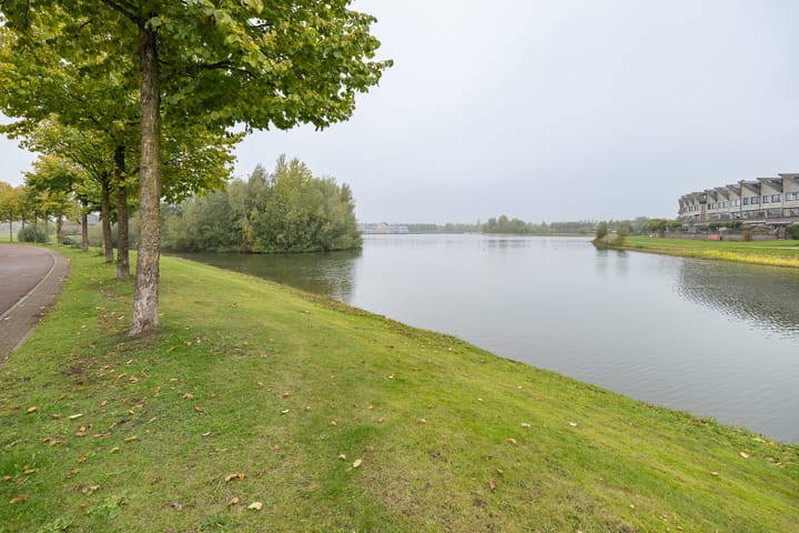 Photo 46 of Witmos 14