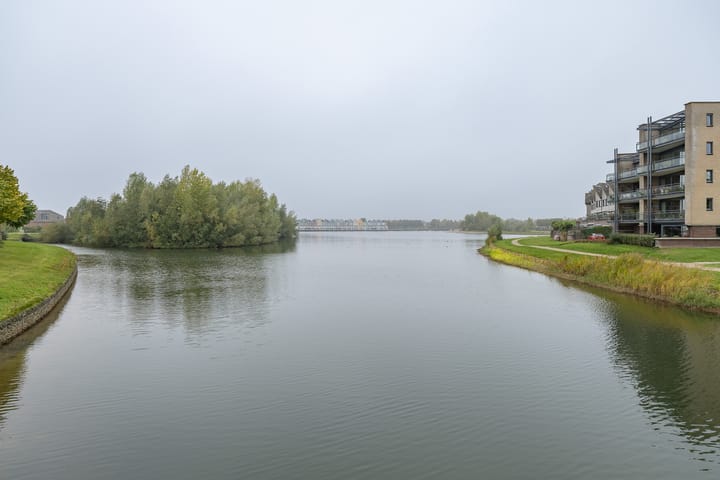 Photo 45 of Witmos 14