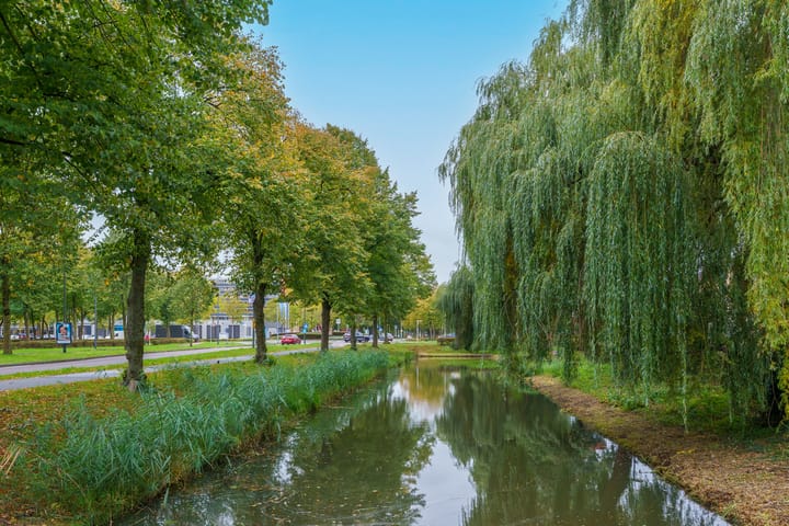 Foto 46 van Antwerpenstraat 2