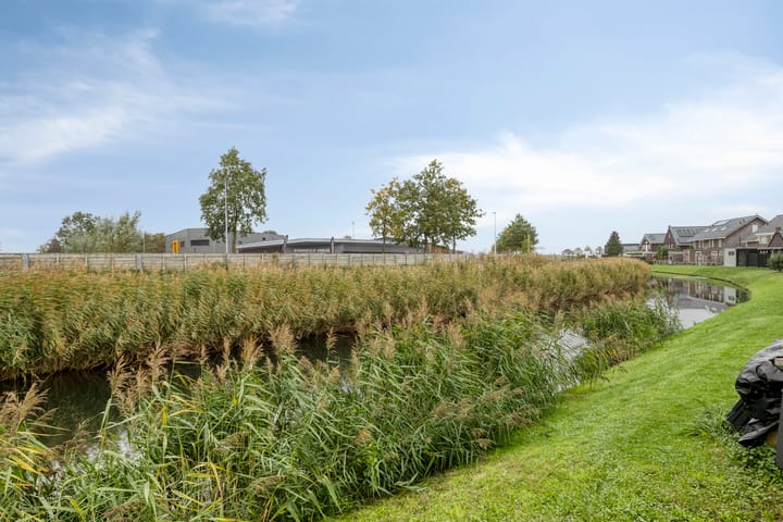 Foto 5 van Noordsingel 90