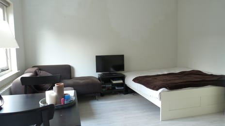 undefined main image