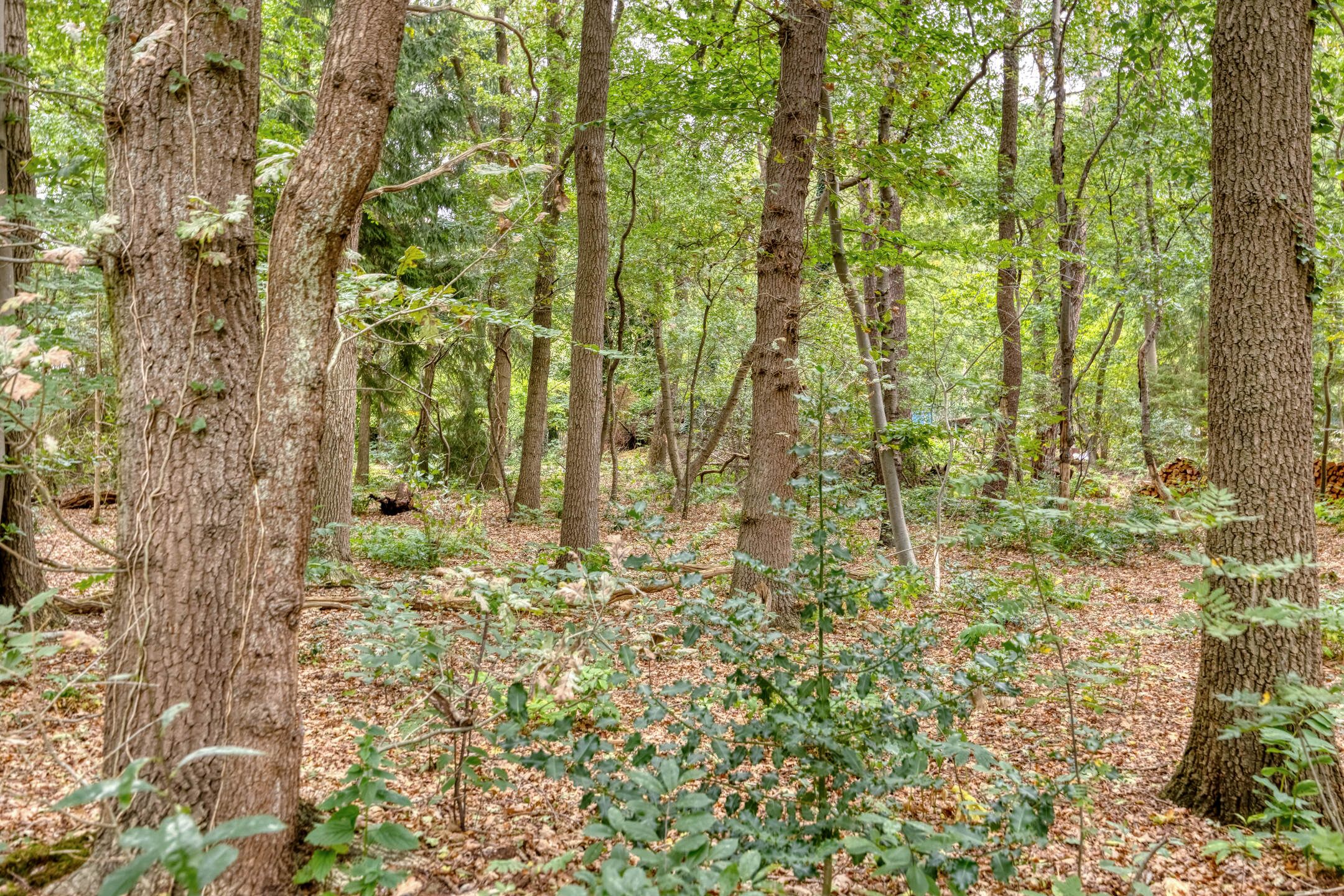 Foto 45 van Amersfoortsestraat 126