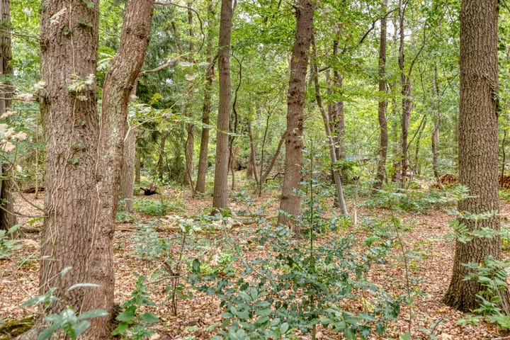 Foto 45 van Amersfoortsestraat 126